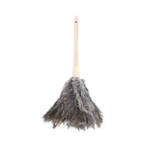 Feather duster